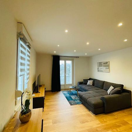 Appartement Les Tilleuls "3 Etoiles" Niederbronn-les-Bains Eksteriør billede
