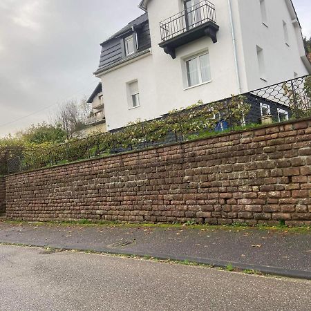 Appartement Les Tilleuls "3 Etoiles" Niederbronn-les-Bains Eksteriør billede