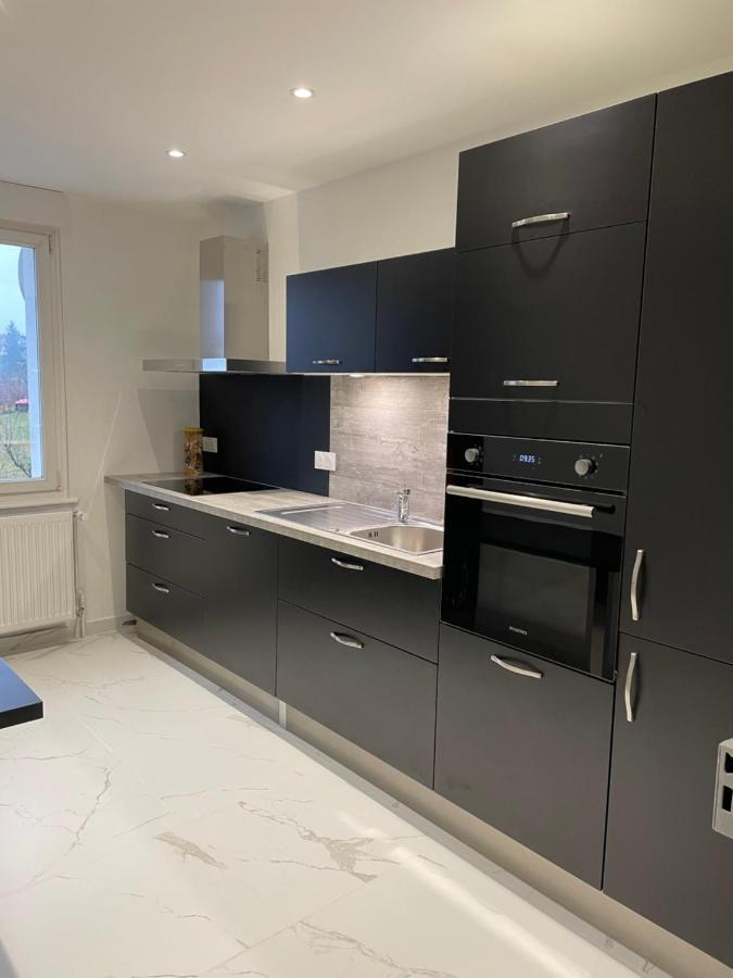 Appartement Les Tilleuls "3 Etoiles" Niederbronn-les-Bains Eksteriør billede